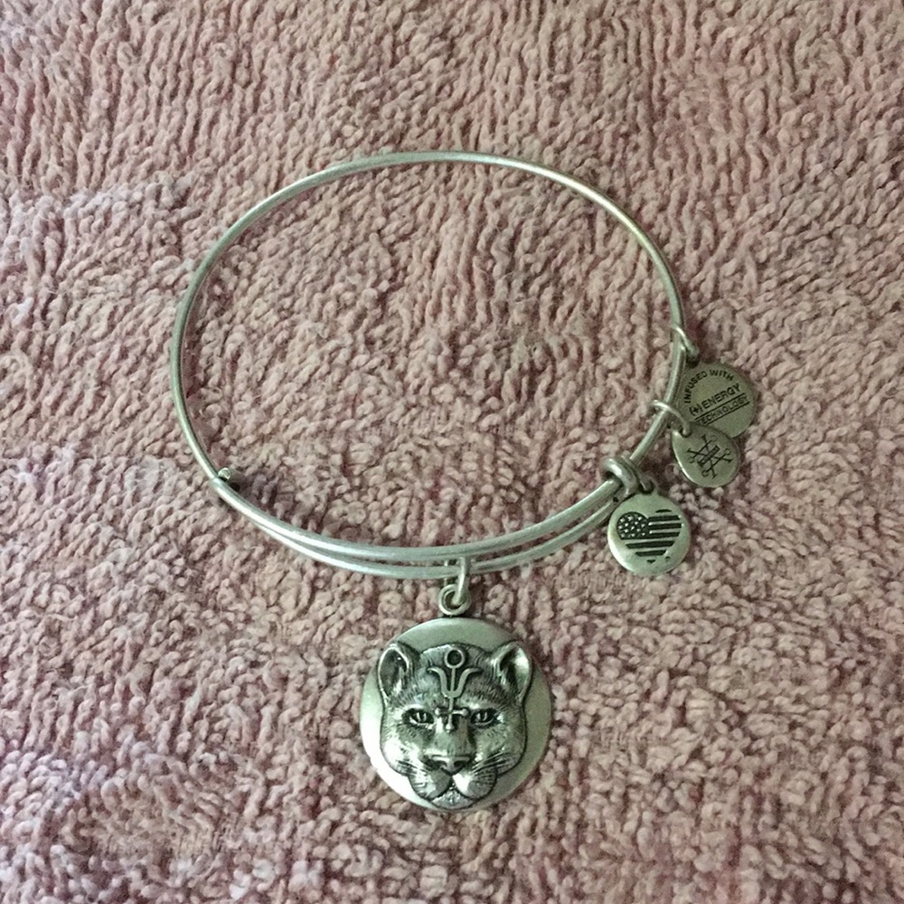 NWOT vintage Alex and Ani silver bracelet